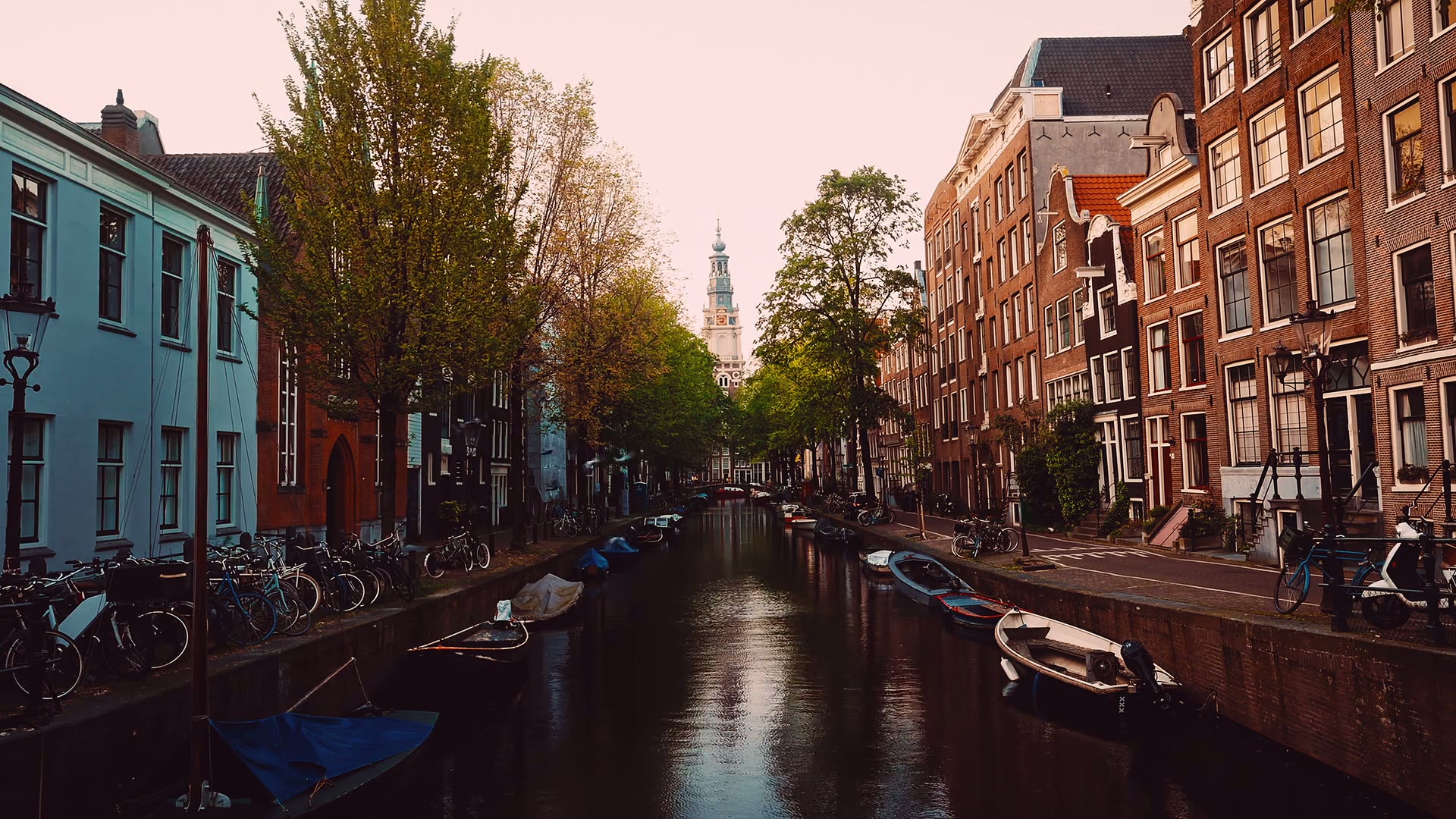 Volt Amsterdam still 5